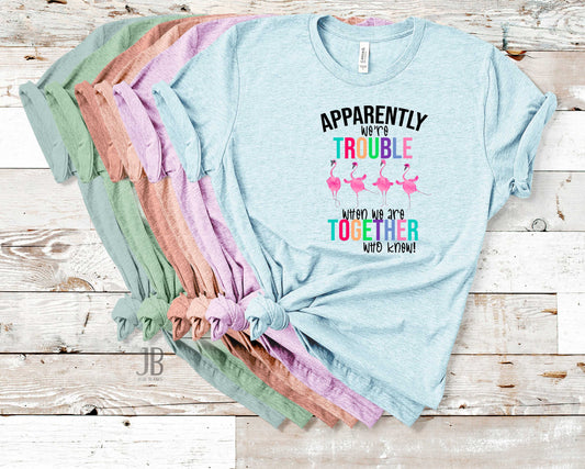 Apparently We're Trouble -  Transfer